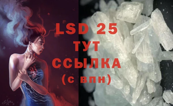 стафф Ладушкин