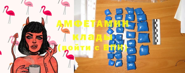 сатива Лабытнанги