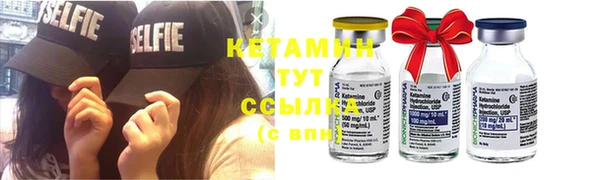 сатива Лабытнанги