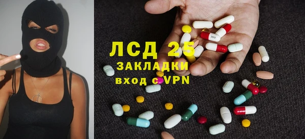 сатива Лабытнанги