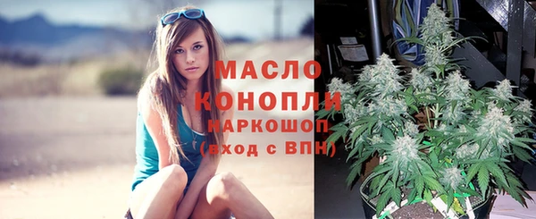 стафф Ладушкин