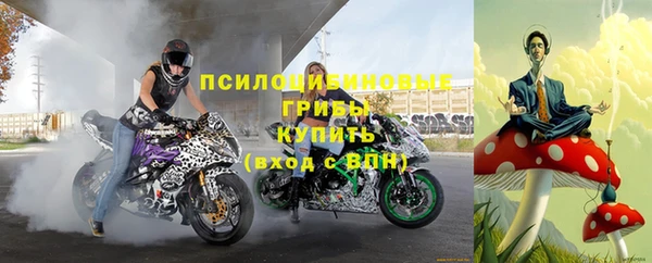 прущая мука Кулебаки