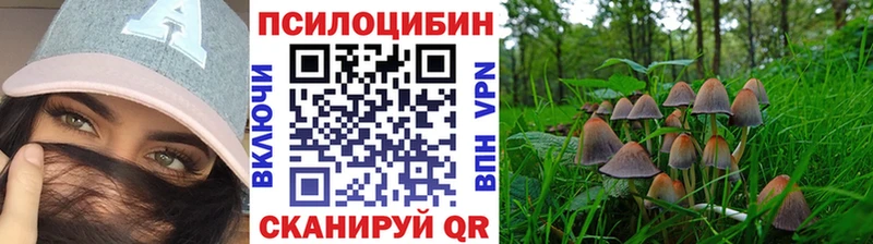 KRAKEN   Сегежа  Галлюциногенные грибы GOLDEN TEACHER 